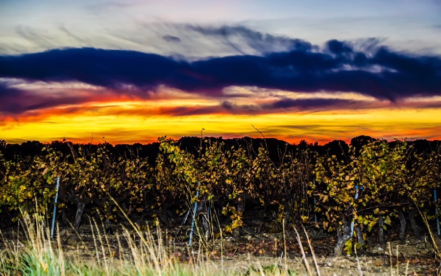 photo gite domaine condamines saint guilhem le desert 05